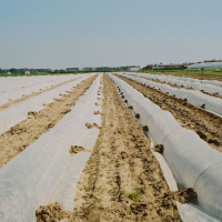 Agrotekstil 3.2x250m
